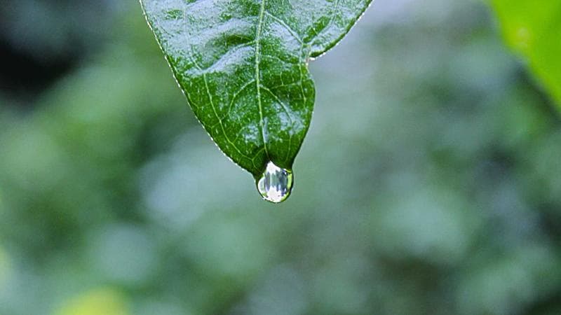 Car Maintenance Schedule: What to Service and When