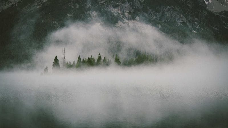 Cybersecurity Basics: Protecting Yourself Online in 2026