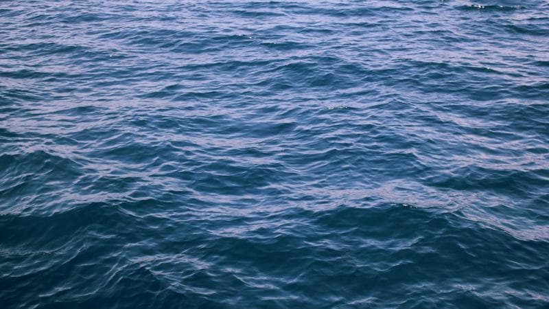 EV vs Hybrid: Which Powertrain is Right for You in 2026?