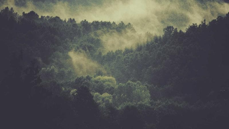 How Smartphone Cameras Actually Work: A Simple Explanation